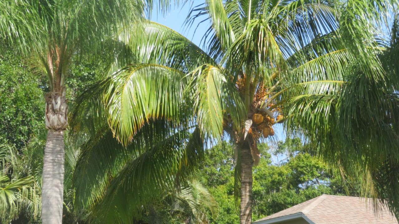 Luxury 3-Bedroom Home Near Beaches With Pool Vero Beach Ngoại thất bức ảnh